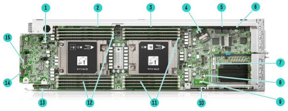 HPE ProLiant XL225n Gen10 Plus Server